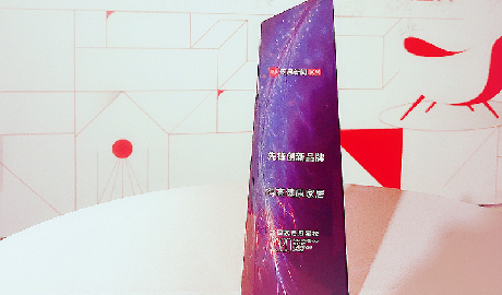 p站app下载荣登2020中国家居冠军榜，斩获“先锋创新品牌”称号！